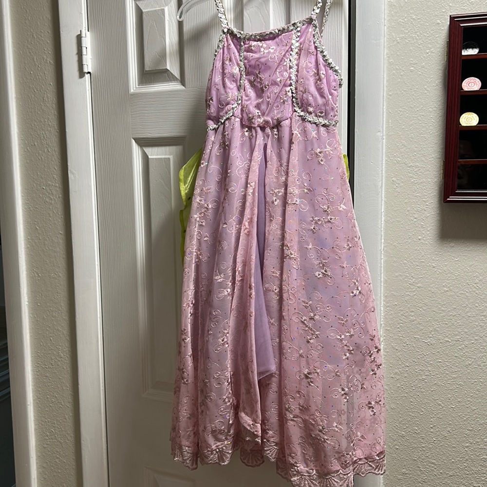 Fairy ballet costume